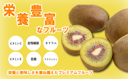 さぬきエンジェルスイート キウイ 約2.2kg 先行予約 キウイ