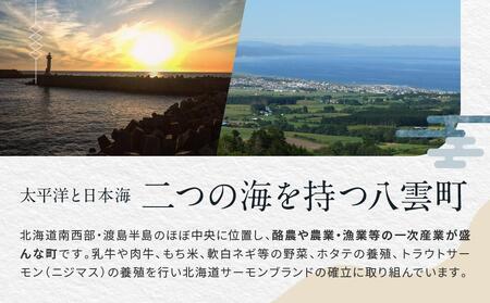 北海道八雲町　宿泊割引券3,000円分×5枚 | 旅行　旅行　旅行　旅行　旅行　宿泊券　宿泊券　宿泊券　宿泊券　宿泊券　【 宿泊券 割引券 旅行 ホテル ホテルチケット 観光 宿泊 ご当地 八雲町 北