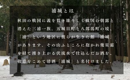 【生酒】純米吟醸無濾過原酒「浦城」3種＆「浦城 雪景色（にごり酒）」3種　飲み比べ6本セット720ml 各1本 お酒 日本酒 香り 果実味 美味しい リピーター 