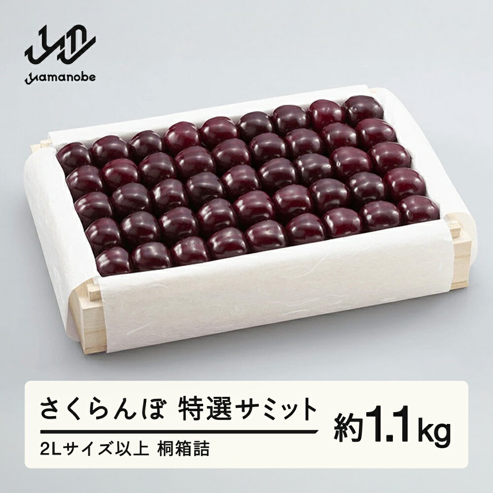 【ふるさと納税】《先行予約》2026年 山形県産 特選サミット 桐箱詰め 約1100g やまのべ多田耕太郎のさくらんぼ ギフト 贈答 贈り物 送料無料 F20A-793