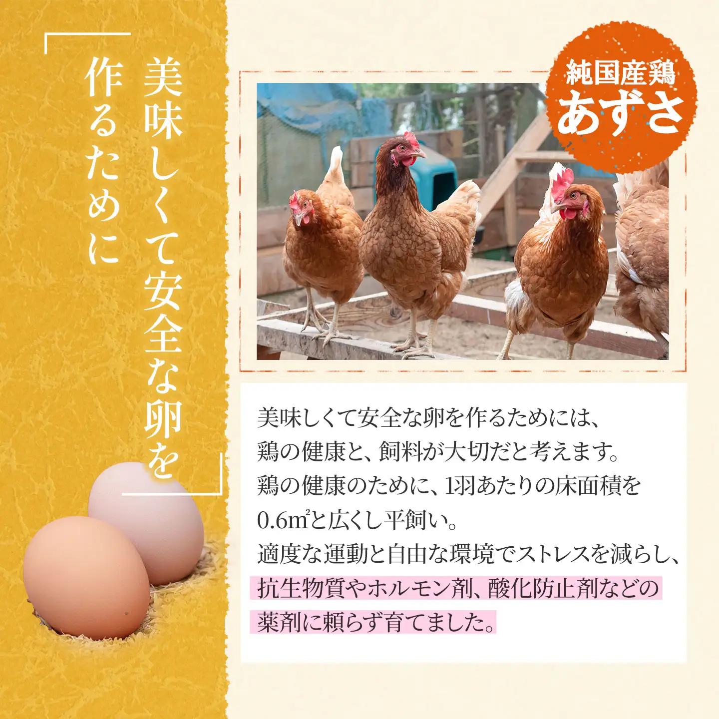 純国産鶏あずさの平飼い卵 40個 (フリーサイズ) 山形県鶴岡市 おーぼ | 卵 たまご タマゴ 玉子 鶏卵 平飼い卵 自然卵 生卵 卵かけご飯 たまごかけご飯 卵かけごはん たまごかけご飯 卵料理 