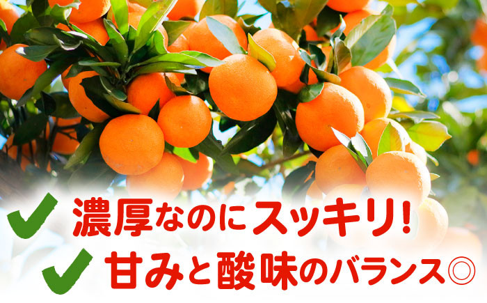 みかんのきもち 1箱 ( 280ml×24本 ) 【JAさが 杵島支所】 [HAM001] みかん みかんジュース