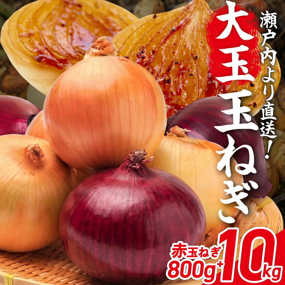 【ふるさと納税】[限定]大玉の玉ねぎ10kg+赤玉ねぎ800g のうの農園 山口県 防府市 A-E56 玉ねぎ 玉葱 タマネギ 赤玉ねぎ 紫玉ねぎ 10kg 野菜 詰合せ 大玉 瀬戸内