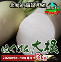 【ふるさと納税】野菜王国　釧路町産 【ほくげん大根】5kg ＜2024年9月～10月発送＞【 野菜 だいこん 北海道 釧路町 】 ワンストップ特例制度 オンライン