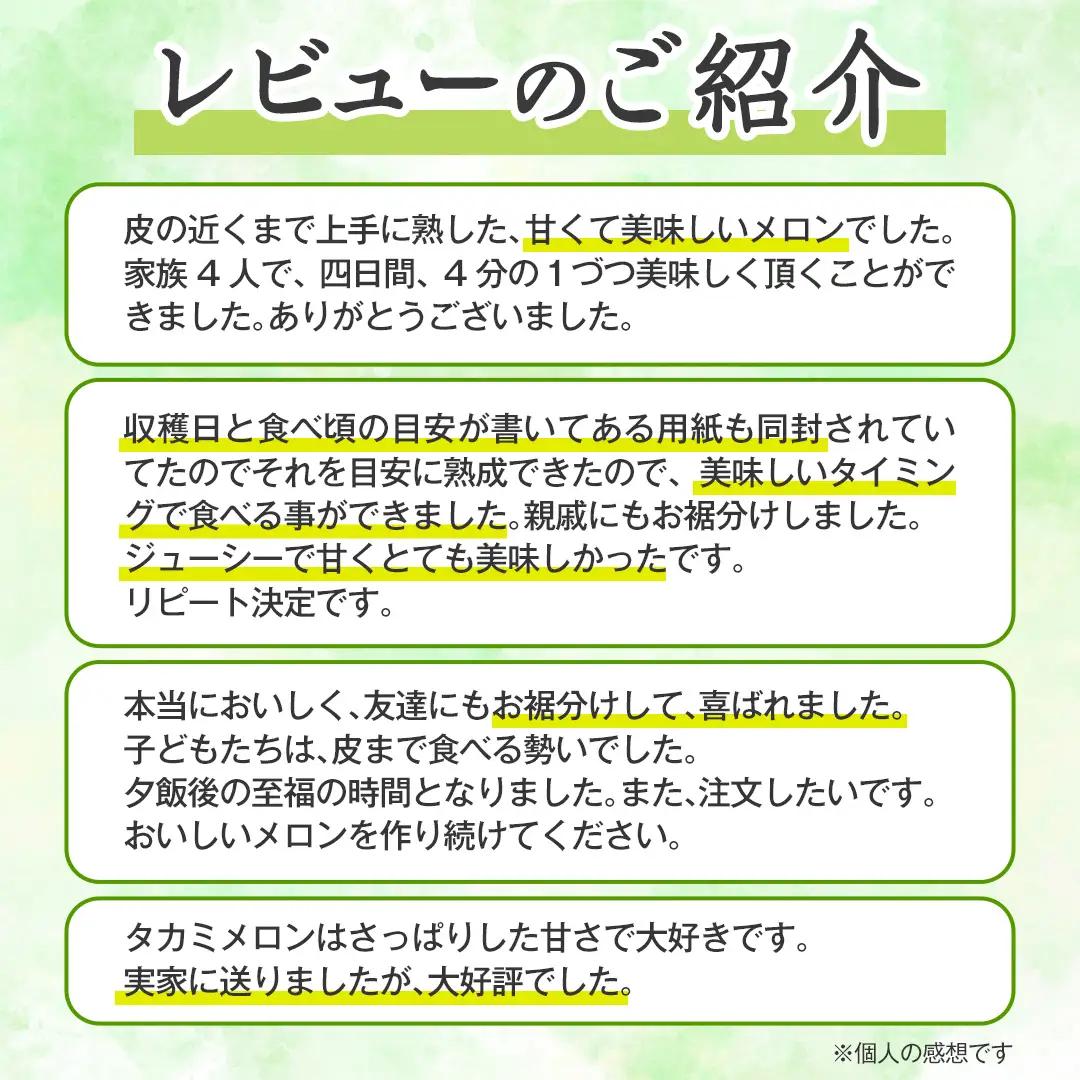 【先行予約】メロン タカミメロン 秀品 4~5玉 約6kg 八千代町産