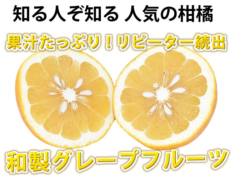 訳あり河内晩柑