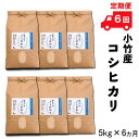 【ふるさと納税】【定期便】小竹産コシヒカリ 5kg×6ヵ月 【新米 精米 島根県 安来市 おいしい お米】