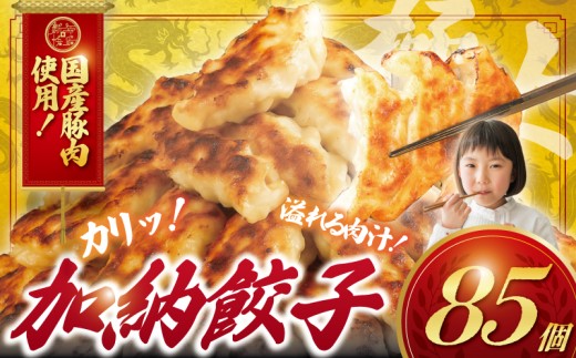 ぎょうざ 餃子 85個 肉汁 旨い パック 豚肉 ぶた 野菜 焼き餃子 水餃子  国産豚  豚肉 野菜 ギョーザ gyouza 冷凍餃子 冷凍ぎょうざ ぶたにく 生餃子 冷凍 ご飯 おかず 夕食 おつまみ 晩酌 簡単調理 時短 簡易包装 手作り餃子 冷凍 冷凍食品 中華 加納食堂 神奈川 湘南 藤沢
