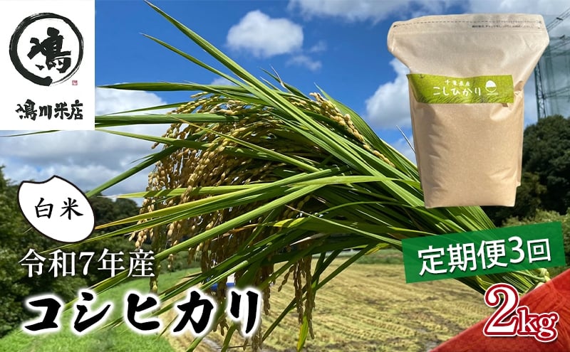 
            令和7年 3ヶ月定期便　コシヒカリ　白米　2kg【 お米 粘りつやつや 甘み】 精米 美味しい 新鮮  [№5346-0188]
          