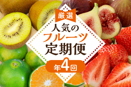 【定期便/年４回】フルーツ 旬の福岡フルーツ定期便_HB0087