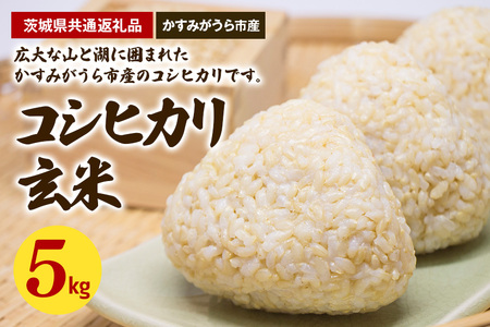 コシヒカリ 玄米5kg（茨城県共通返礼品・かすみがうら市産） GL-006