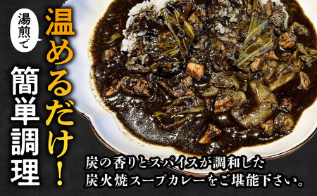 炭香る宮崎県産若鶏炭火焼スープカレー 計1.9kg スパイス ブレンド カレー