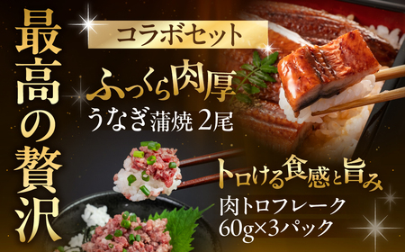 国産うなぎ & 牛肉トロ セット うなぎ 肉トロ 訳あり 蒲焼 2尾 牛トロ 3パック ウナギ 鰻 蒲焼き 土用丑の日 丑の日 簡単調理 惣菜 おつまみ 牛フレーク 生肉 生食用 生食 レア unag