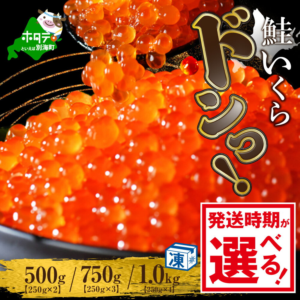 漁協 直送！本場「北海道」 いくら 醤油漬け たっぷり500g！ イクラ 大粒 鮭 小分け 国産 鮭卵