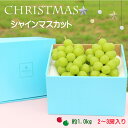 【ふるさと納税】【先行予約】冬季限定！！山梨県南アルプス市産　クリスマスシャインマスカット　約1.0kg　2～3房入り＜出荷開始：2024年12月＞【内祝い 内祝 お祝い 御祝い 御祝 お礼 御礼 プレゼント ギフト 贈り物 お歳暮 山梨県 南アルプス市 】