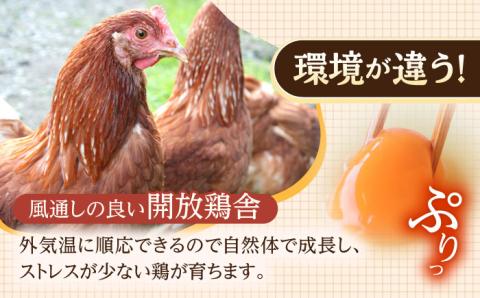 【6回定期便】産みたて新鮮卵 野中のたまご  80個×6回 計480個【野中鶏卵】 [OAC008] /卵 たまご 高級卵 卵焼き 卵かけご飯 たまご 濃厚たまご タマゴ