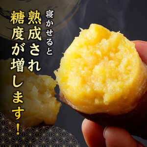 宮崎県産さつまいも　ミネラル栽培　紅はるか 2kg 【 宮崎県産 九州産 いも 芋 サツマイモ 野菜 】