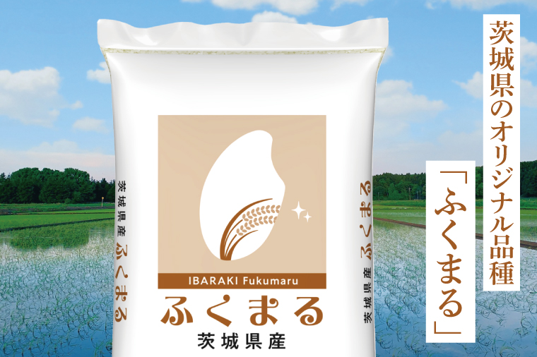令和7年産 茨城県産 ふくまる10kg（5kg×2袋）【お米 米 ごはん 茨城県】（03-62）