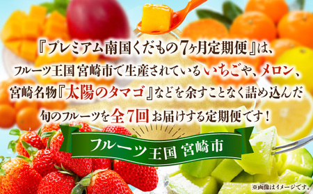 プレミアム南国くだもの7ヶ月定期便 フルーツ 果物定期便 くだもの