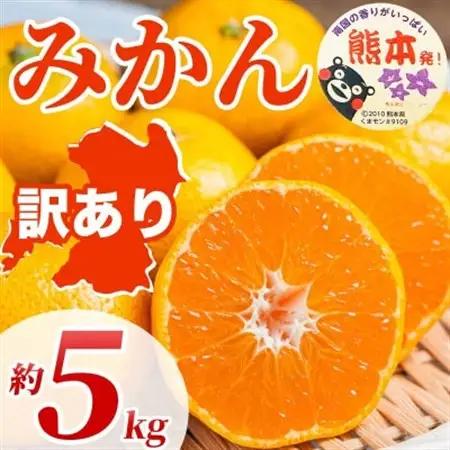 【先行予約2026年】熊本県産 訳あり みかん サイズミックス 3S～3L 約5kg(益城町)【1726315】