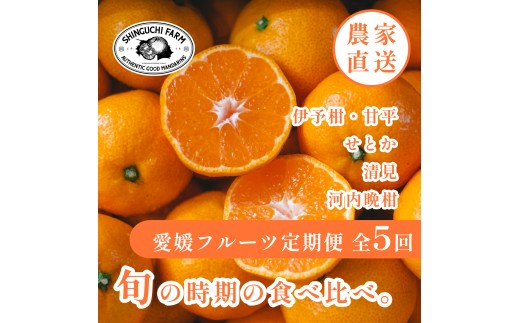 【発送月固定定期便】愛媛の美味しい人気柑橘5品種 甘平・せとか・河内晩柑等【H70-43】全5回【4055162】 YWTK043