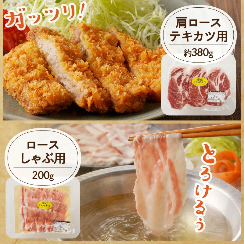 【宮崎ブランドポーク】食べ比べセット合計約2.1kg N061-YB724