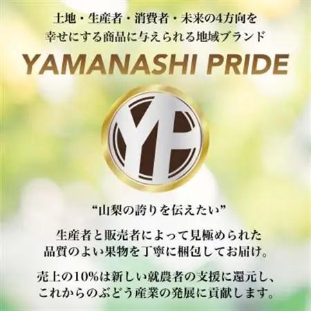 2026年発送 フルーツ王国山梨産 厳選 シャインマスカット 3～4房 (約2kg)_甘いシャインマスカット あまいシャインマスカット 美味しいシャインマスカット おいしいシャインマスカット 人気のシ