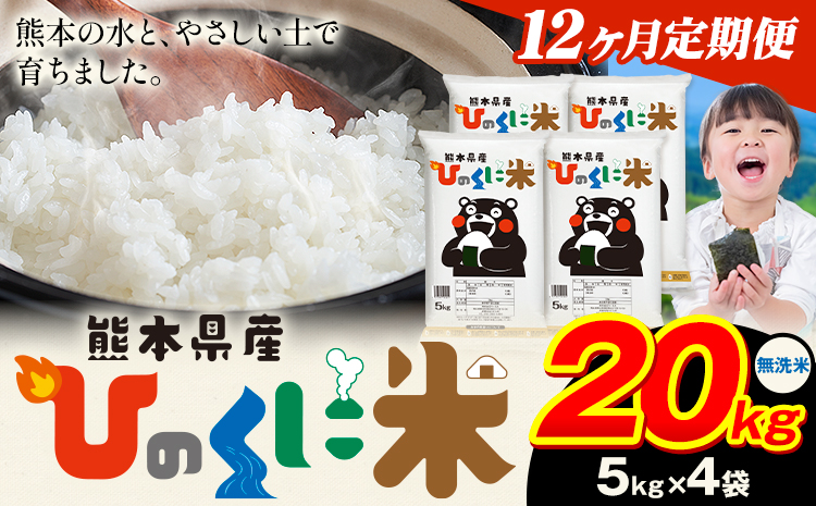 【12ヶ月定期便】 無洗米 ひのくに米 20kg 《お申込み月の翌月から出荷開始》 食品 米 こめ コメ 熊本県産 ふるさと納税 お米 おこめ 熊本---ubuyamatei_lcl_182_mo12