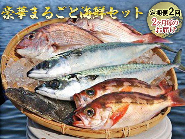 
豪華まるごと海鮮セット定期便2回お届け
