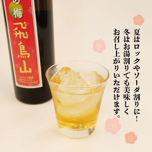 梅酒 みりん 飛鳥山 500ml 2本 酒 地酒 梅 麹 リキュール 杉井酒造