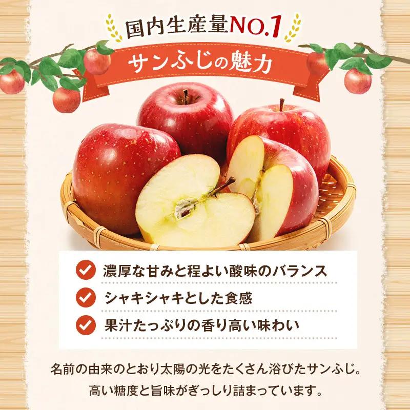 りんご サンふじ 小玉 約10kg 林檎 リンゴ