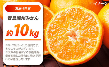 【2026年1月～発送】青島 温州みかん 10kg / みかん ミカン 蜜柑 甘い フルーツ 果物 / 南島原市 / 蜜柑屋まつお[SCQ003]
