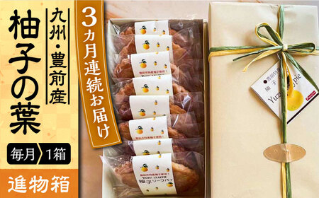 【全3回定期便】【進物箱】柚子の葉 8枚入り[VBU017]ギフト 贈り物 和菓子