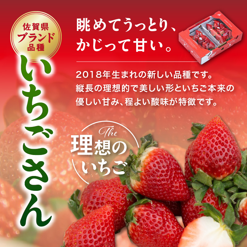 冷凍いちご いちごさん1kg 214-B917_イメージ2