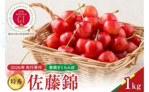 【2026年産　先行予約】真の桜桃 佐藤錦 特秀 1kg 山形県 東根市　hi062-047
