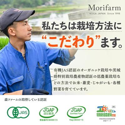 ふるさと納税 古河市 ゆるりの森のそば 常陸秋そば(乾麺) 180g×10袋 (約20人前) | 麦 そば _FN06 |  | 02