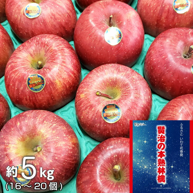 【ふるさと納税】《12月上旬発送〜先行予約》賢治の本熟 りんご（サンふじ） 約5kg ふるさと納税 りんご いわて花巻産 16個〜20個入り