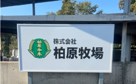 【自社農場宮崎牛】柏原和牛モモステーキ　1キロ ステーキ 和牛ステーキ 牛肉ステーキ 国産ステーキ 小林市ステーキ
