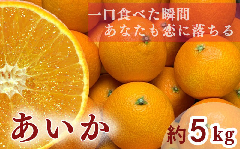 
【 先行予約 】【訳あり】農家直送 名前だけが訳あり あいか 5kg | 紅まどんな と同種 みかん 愛媛 松山 フルーツ 果物 くだもの 5キロ 数量限定 期間限定 送料無料 柑橘 みかん フルーツ 果物 みかん ランキング 2024年度
