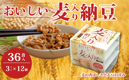おいしい麦入り納豆 3P×12袋 計36食分入 ｜納豆  国産大豆 家庭用 うまい 本物 健康 麦 甘み 風味 特産品 美味しい納豆 家庭納豆 常食納豆 ねばねば 発酵 醤油 北海道 大豆 糸引き ごはん おかず 上品 旨味 コク 香り 濃厚 老化防止 アンチエイジング 和食 発酵食品 健康食品 腸活 大豆食品 栄養 お取り寄せ 茨城県 常陸太田市