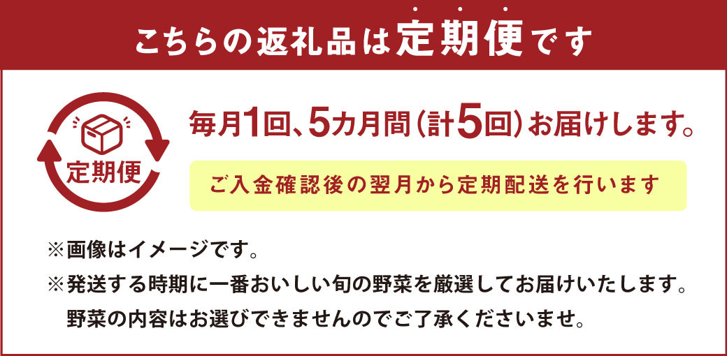 【定期便5回】 旬の野菜とたまごのセット