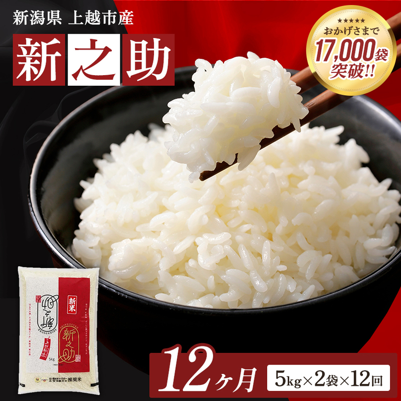 【令和8年産 先行予約】 新之助 無洗米 新潟県 上越産 10kg (5kg×2) 12か月 定期便 しんのすけ 五つ星お米マイスターのいるお店 お米 精米 米 ご飯 大黒屋商店