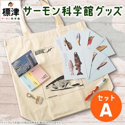 ふるさと納税 標津町 標津サーモン科学館グッズセットA　エコバッグ ポストカード ボールペン 付箋 キーホルダー