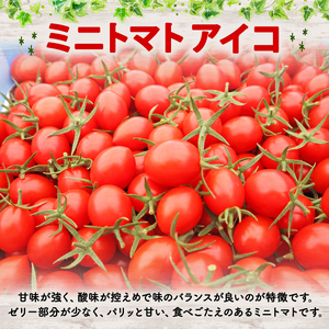 松下農園のミニトマトアイコ ミニトマト 2.1kg 2026年1月中旬から発送 アイコ とまと トマト 夏 新鮮 野菜 サラダ 完熟 農家直送 松下農園 牧之原市 静岡県