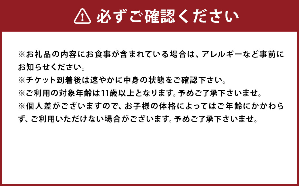 清流が流れる渓谷を下流から上流へと登る シャワークライミング体験チケット 体験 チケット アウトドア シャワークライミング
