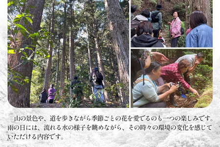 【橋本山林】一日一組限定ツアー（1～9月）1名様 【徳島県 那賀町 ツアー イベント 現地体験型 体験 旅行 グループ 限定 仲間 社員研修 環境学習】NM-11