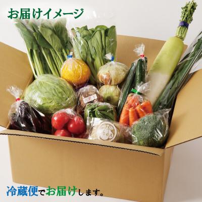 ふるさと納税 泉佐野市 新鮮 野菜セット 詰め合わせ 15種類 国産 おまかせ 010B507 |  | 01