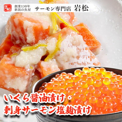 【ふるさと納税】いくら醤油漬け・刺身サーモン塩麹漬け いくら イクラ 醤油漬け いくら醤油漬け 刺身 鮭 さけ サケ しゃけ シャケ サーモン トラウトサーモン おつまみ 魚 海鮮 海産物 魚介 魚介類 惣菜 おかず ごはんのお供 漬魚 冷凍 新潟