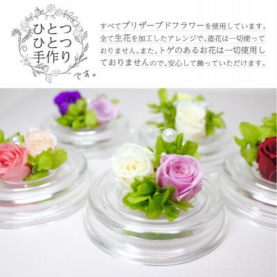 ふるさと納税 美浜町 ブリザーブドフラワー　ドーム型 ピンク×ピンク |  | 02