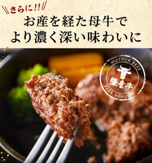 020AA09N.但馬牛経産牛ハンバーグ（150g×10個）_イメージ3